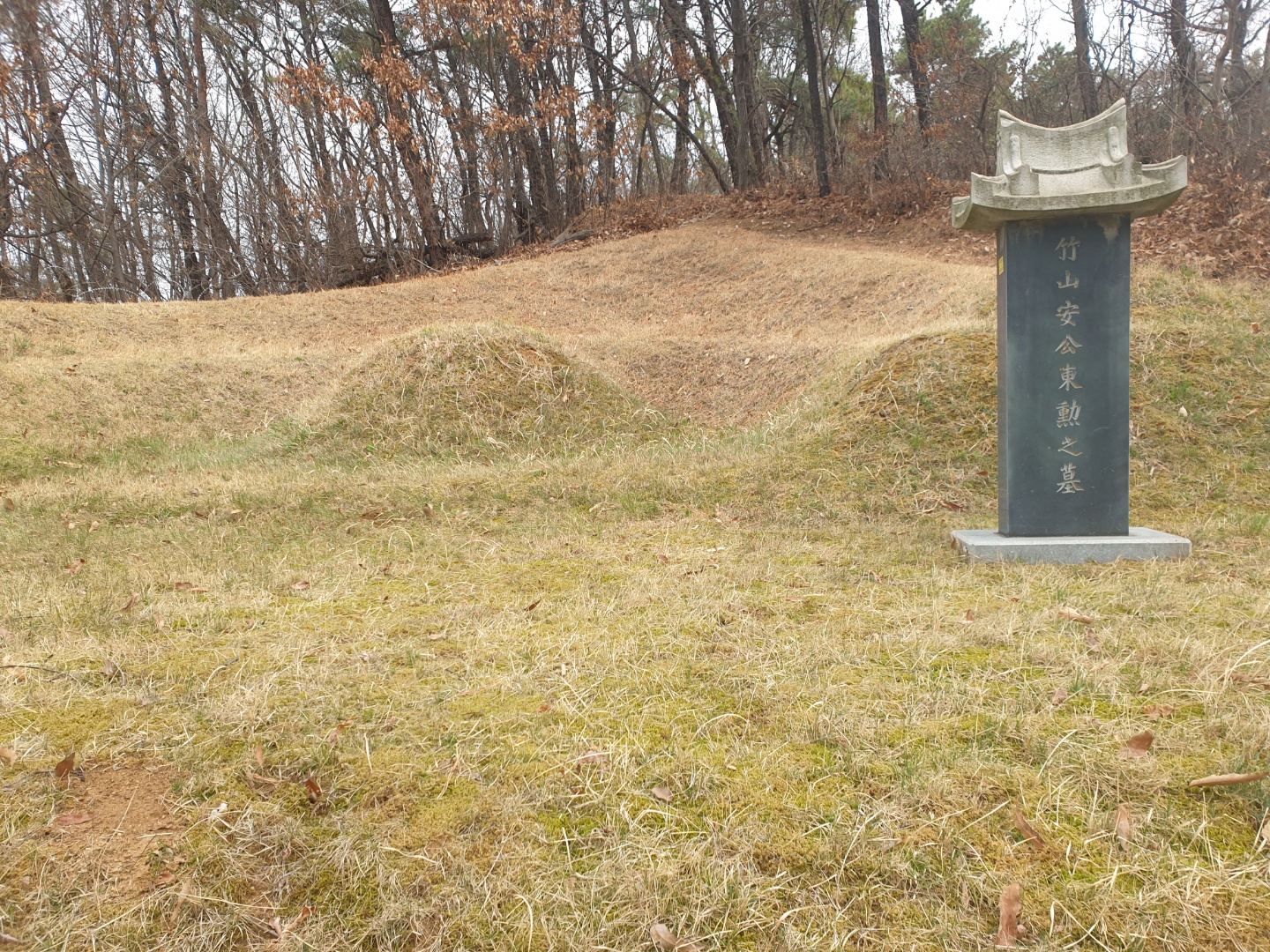 2000769928_MzYWjV9e_cde2c59d9cc68b3f5547390d2544642533b7cbba.jpg 이미지크게보기